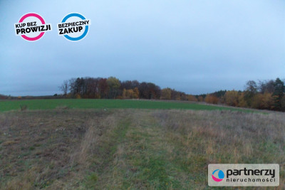 Działka pod lasem 15km od Gdańska - powiat gdański  -
Pomorskie Zdjęcie nr 7