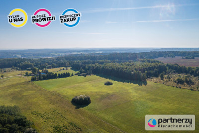 Działka rolna - Buszkowy Górne 18Ha - powiat gdański  -
Pomorskie Zdjęcie nr 6