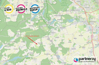 Działka rolna - Buszkowy Górne 18Ha - powiat gdański  -
Pomorskie Zdjęcie nr 8
