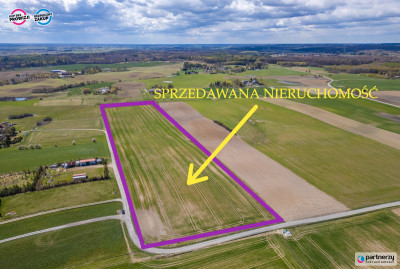 Działka pod siedlisko stadninę koni pasiekę - Ełganowo  -
Pomorskie Zdjęcie nr 2