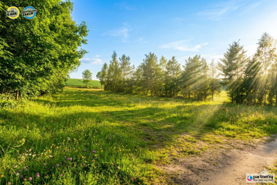 Działka z linią brzegową jeziora Raduńskiego - Łączyńska Huta  -
Pomorskie Zdjęcie nr 5