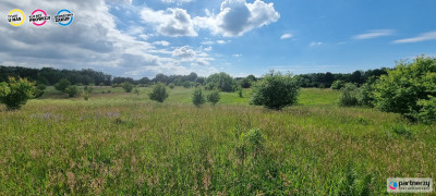 Działka budowlana nad Jeziorem Salinko - Salinko  -
Pomorskie Zdjęcie nr 9