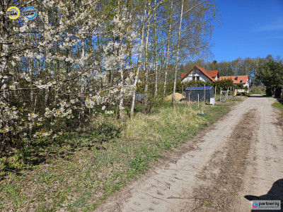 Duża działka budowlana Grabiny Zameczek - Grabiny-Zameczek  -
Pomorskie Zdjęcie nr 3
