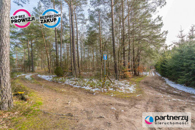 Jeziororelaksnaturasporty wodne - powiat kartuski  -
Pomorskie Zdjęcie nr 9