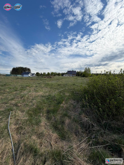 Psale stadnina koni jeziora wydane WZ - Kamień  -
Pomorskie Zdjęcie nr 5