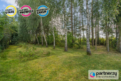 Słoneczna działka 2500 m2 - Tuchom  -
Pomorskie Zdjęcie nr 7