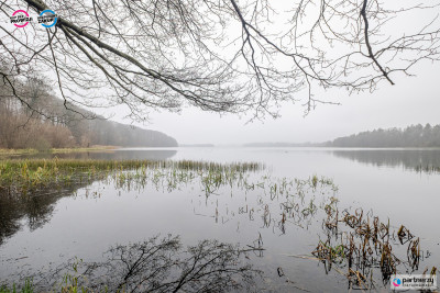 Bez prowizji  Działka nad Jeziorem  372m2 - Warzenko  -
Pomorskie Zdjęcie nr 5