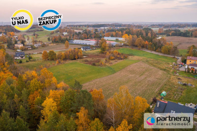 Pod rezydencje  Asfaltowa droga  Las  Media - Skrzeszewo Żukowskie  -
Pomorskie Zdjęcie nr 10