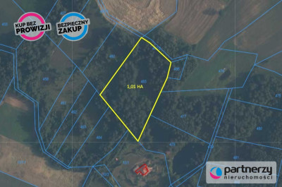 Działka pod zabudowę zagrodową z lasem - powiat kartuski  -
Pomorskie Zdjęcie nr 2
