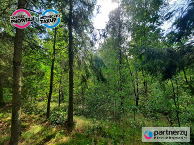 Działka pod zabudowę zagrodową z lasem - powiat kartuski  -
Pomorskie Zdjęcie nr 7