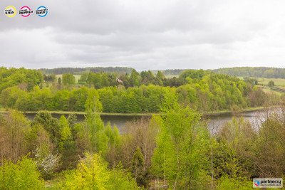 prywatny staw i las  200 m lini brzegowej - Połęczyno  -
Pomorskie Zdjęcie nr 11