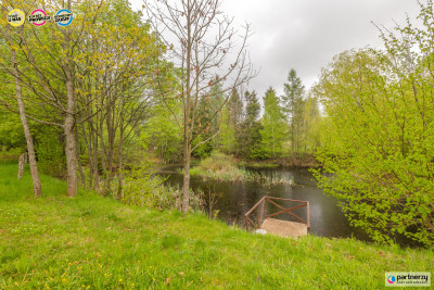 prywatny staw i las  200 m lini brzegowej - Połęczyno  -
Pomorskie Zdjęcie nr 4