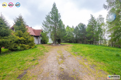 prywatny staw i las  200 m lini brzegowej - Połęczyno  -
Pomorskie Zdjęcie nr 6