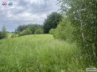 Działka na Kaszubach Goręczyno - Goręczyno  - Pomorskie
