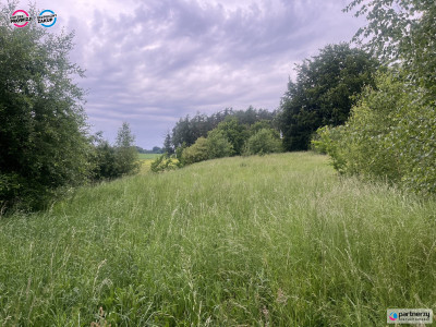 Działka na Kaszubach Goręczyno - Goręczyno  -
Pomorskie Zdjęcie nr 2