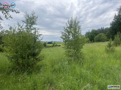 Działka na Kaszubach Goręczyno - Goręczyno  -
Pomorskie Zdjęcie nr 3