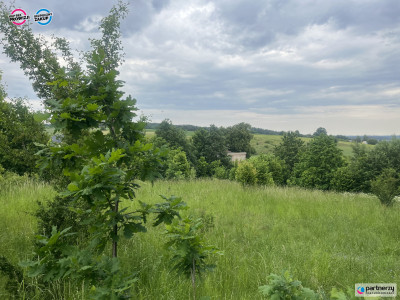 Działka na Kaszubach Goręczyno - Goręczyno  -
Pomorskie Zdjęcie nr 4