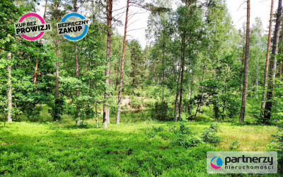 Działki nad jeziorem w sercu Kaszub - powiat kościerski  -
Pomorskie Zdjęcie nr 5