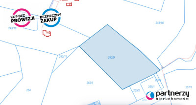 Duża działka ok 12 ha wydane WZ na 10 domów - Rąb  -
Pomorskie Zdjęcie nr 6