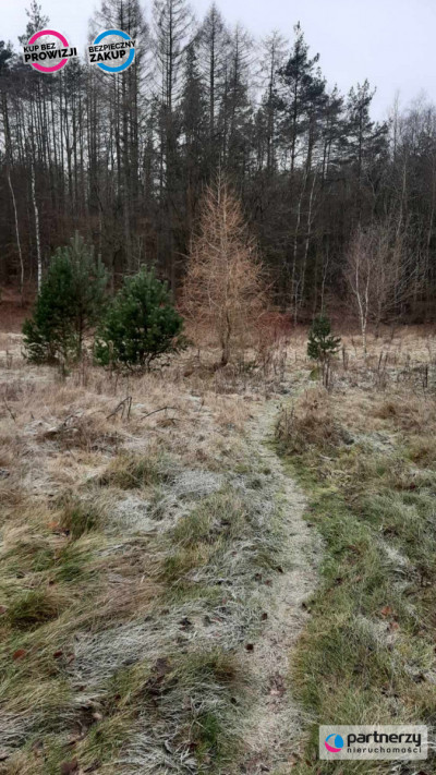  -
Pomorskie Zdjęcie nr 4