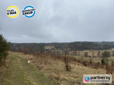 Urokliwa działka na wsi - powiat kartuski  -
Pomorskie Zdjęcie nr 3