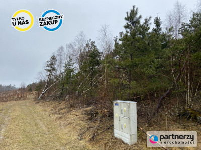 Urokliwa działka na wsi - powiat kartuski  -
Pomorskie Zdjęcie nr 5