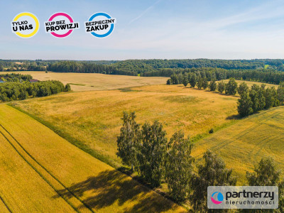 Działka rekreacyjna z MPZP - dom nad jeziorem - Sobącz  -
Pomorskie Zdjęcie nr 10