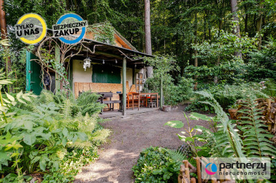 Działka z domkiem  Las za furtką  Piękny ogród - Sopot  - Pomorskie