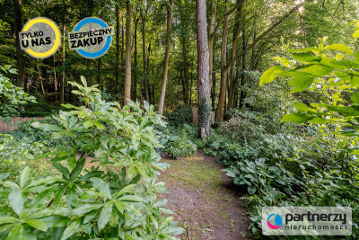 Działka z domkiem  Las za furtką  Piękny ogród - Sopot  -
Pomorskie Zdjęcie nr 3