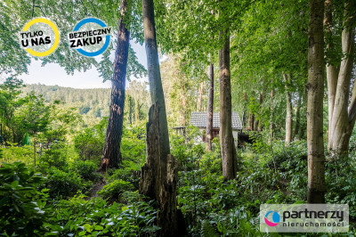Działka z domkiem  Las za furtką  Piękny ogród - Sopot  -
Pomorskie Zdjęcie nr 4