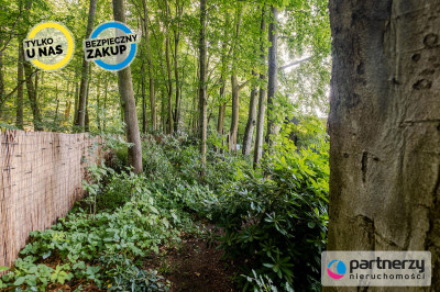 Działka z domkiem  Las za furtką  Piękny ogród - Sopot  -
Pomorskie Zdjęcie nr 5