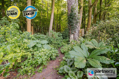 Działka z domkiem  Las za furtką  Piękny ogród - Sopot  -
Pomorskie Zdjęcie nr 6