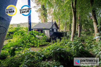 Działka z domkiem  Las za furtką  Piękny ogród - Sopot  -
Pomorskie Zdjęcie nr 7