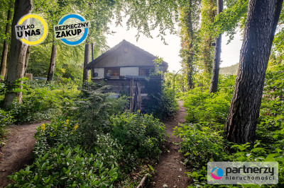 Działka z domkiem  Las za furtką  Piękny ogród - Sopot  -
Pomorskie Zdjęcie nr 8