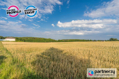 Działka Chwaszczyno - inwestycja z potencjałem - powiat kartuski  -
Pomorskie Zdjęcie nr 4