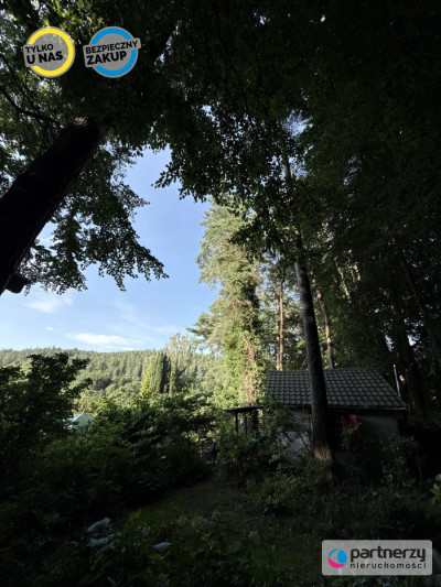Działka z domkiem  Las za furtką  Piękny ogród - Sopot  -
Pomorskie Zdjęcie nr 12