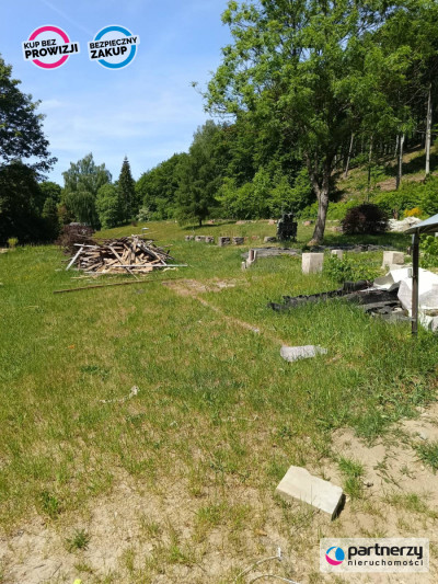 Działka z linią brzegową Jeziora Ostrzyckiego - powiat kartuski  -
Pomorskie Zdjęcie nr 5