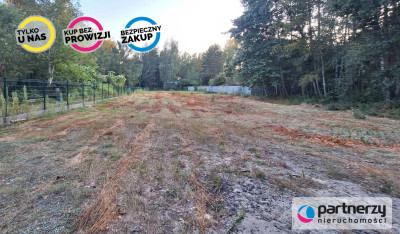 Duża działka 30 km od Warszawy z prywatnym lasem - Musuły  -
Mazowieckie Zdjęcie nr 4
