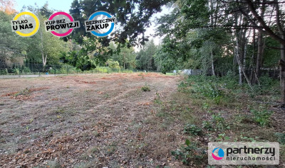 Duża działka 30 km od Warszawy z prywatnym lasem - Musuły  -
Mazowieckie Zdjęcie nr 7