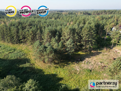 Działki Nad rzeką Gotelp Pustki Chojnicki - powiat chojnicki  -
Pomorskie Zdjęcie nr 3