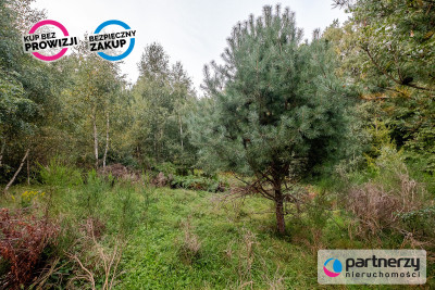 Działki ok 1500 m  Domatowo  Spokojna lokaliza - Domatowo  -
Pomorskie Zdjęcie nr 14