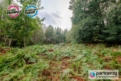Działki ok 1500 m  Domatowo  Spokojna lokaliza - Domatowo  -
Pomorskie Zdjęcie nr 3