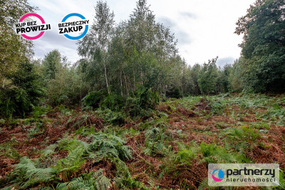 Działki ok 1500 m  Domatowo  Spokojna lokaliza - Domatowo  -
Pomorskie Zdjęcie nr 4
