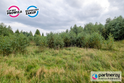 Działki ok 1000 m  Domatowo  Spokojna lokaliza - Domatowo  -
Pomorskie Zdjęcie nr 12