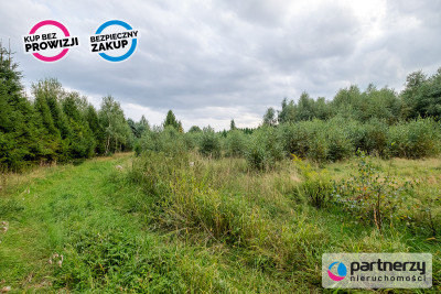 Działki ok 1000 m  Domatowo  Spokojna lokaliza - Domatowo  -
Pomorskie Zdjęcie nr 13