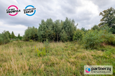 Działki ok 1000 m  Domatowo  Spokojna lokaliza - Domatowo  -
Pomorskie Zdjęcie nr 5