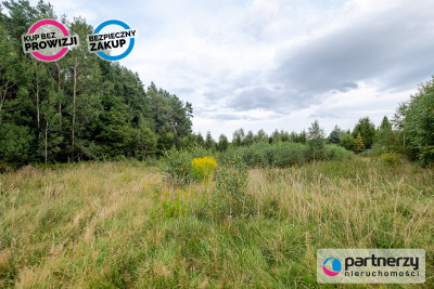 Działki ok 1000 m  Domatowo  Spokojna lokaliza - Domatowo  -
Pomorskie Zdjęcie nr 6