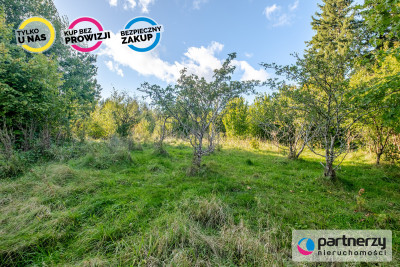Budowlana  MPZP  Wjazd od strzachodniej - Ząbrsko Górne  -
Pomorskie Zdjęcie nr 11