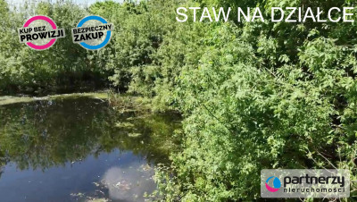 Działka mieszkaniowa z  WZ oraz małym stawem - Liniewo  -
Pomorskie Zdjęcie nr 4