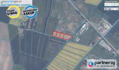 4 Działki pod składymagazyny Od 3000m2 do 5665m2 - Zajączkowo  -
Pomorskie Zdjęcie nr 2